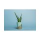 Background Paper Rolls 1.36x11mm Sky Blue