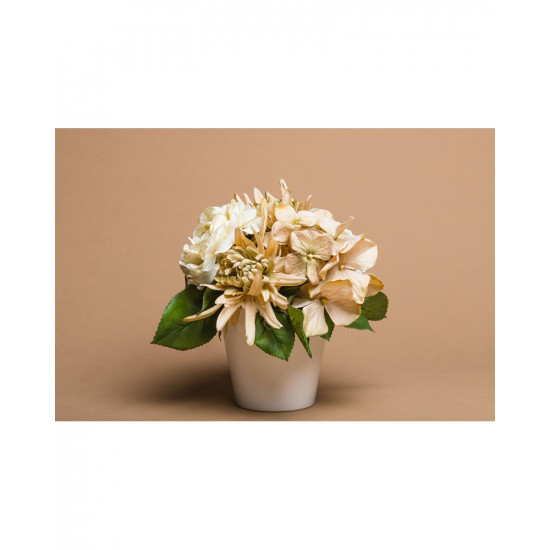 Background Paper Rolls 1.36x11mm Beig