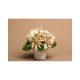 Background Paper Rolls 1.36x11mm Beig
