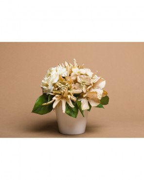 Background Paper Rolls 1.36x11mm Beig