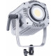 NiceFoto FC-2000A 200W Bi-Color Portable LED Video Light