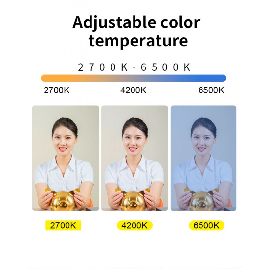 NiceFoto FB-1000A 100W Bi-Color Folding Fabric LED Light