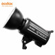 Godox QT600II 2-Light Studio Flash Kit