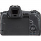 Canon EOS R Mirrorless Digital Camera Body only