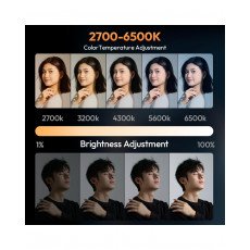 Ulanzi LM-P40Bi 40W Bi-Color Portable Video Light