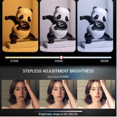 ZSYB HeadLight YM350 – Professional 300W Bi-Color LED Video Lighting (2700K–6500K) ZSYB HeadLight YM350 – Professional 300W Bi-Color LED Video Lighting (2700K–6500K)