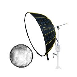 NiceFoto DF120-3000A 300W Bi-Color Umbrella Light(With Grid)