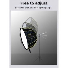 NiceFoto DF120-3000A 300W Bi-Color Umbrella Light(With Grid)