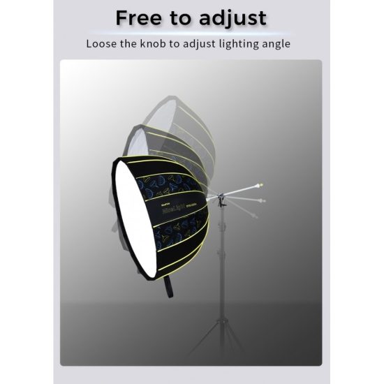 NiceFoto DF120-3000A 300W Bi-Color Umbrella Light(With Grid)