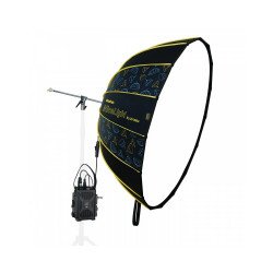 NiceFoto DL120-3000A 300W Bi-Color Umbrella Light(With Grid)