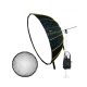 NiceFoto DL120-3000A 300W Bi-Color Umbrella Light(With Grid)