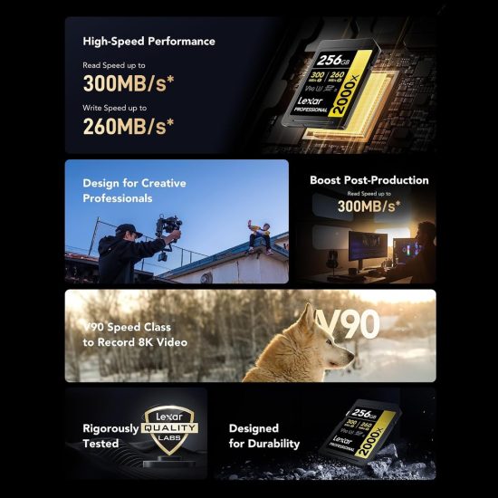 Lexar 256GB SDXC Gold UHS-II R300/W260MB/s V90