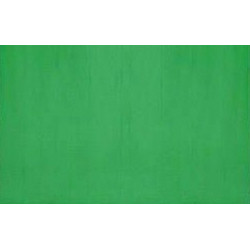 Visico Green Background 3x3m