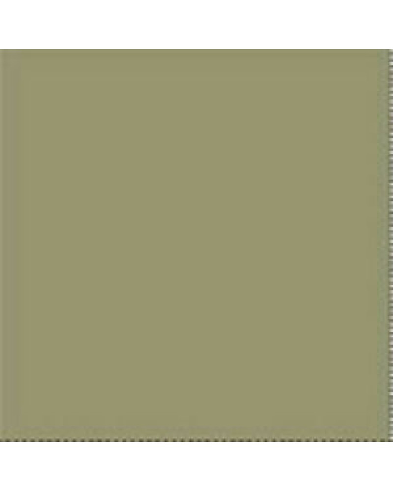 Background Paper Rolls 2x11m Leaf