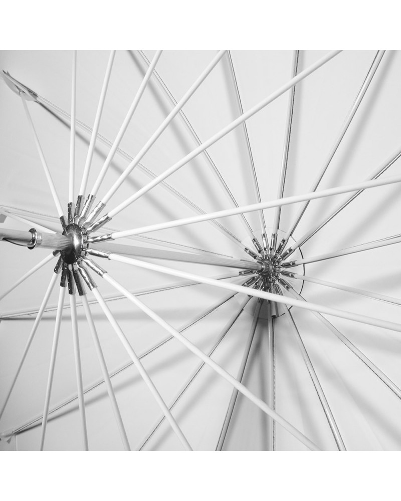 NiceFoto DEEP Transparent Umbrella Black/White BW-Ø65″(170cm) NiceFoto DEEP Transparent Umbrella Black/White BW-Ø65″(170cm)