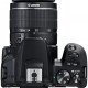 Canon EOS 250D + EF-S 18-55mm f/3.5-5.6 III + EF 75-300mm f/4-5.6 III Double Lens Kit