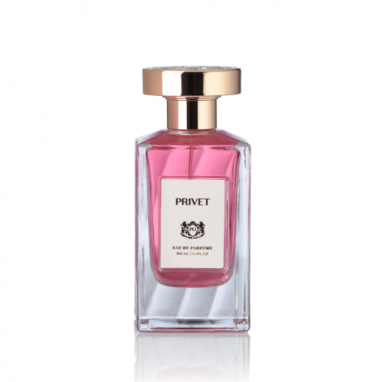 برفيوم غاليري بريفت 100 مل برفيوم غاليري بريفت 100 مل