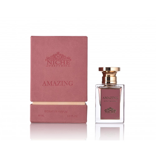 نيش امازينغ او دو برفيوم 65 مل نيش امازينغ او دو برفيوم 65 مل