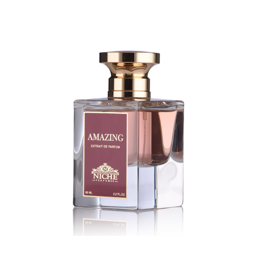 نيش امازينغ او دو برفيوم 65 مل نيش امازينغ او دو برفيوم 65 مل