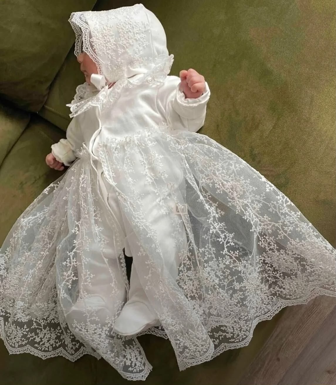  Baby Rosa