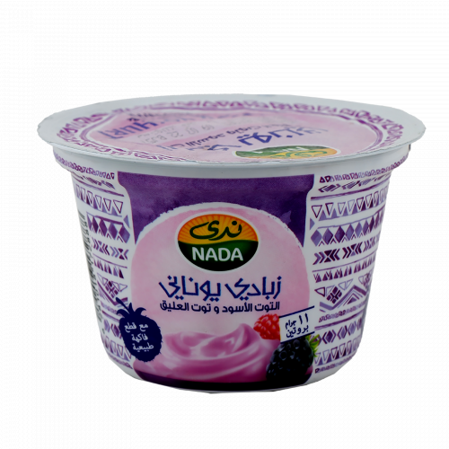 زبادي ندى يوناني توت الأسود وتوت العليق - 160 جرام