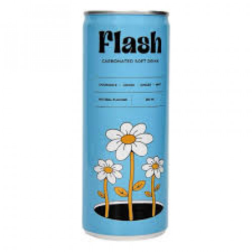 مشروب فلاش غازي بالزنجبيل و الليمون وبابونج ونعناع 250 مل