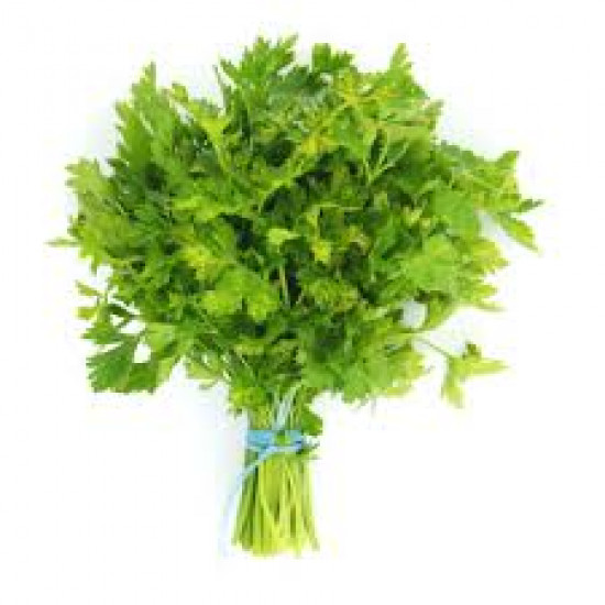 ربطة بقدونس