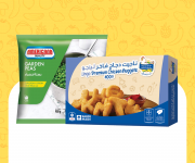 مجمدات ومبرد       