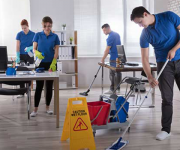 عناية المنزل