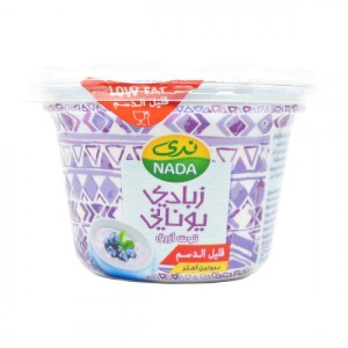 زبادي ندى يوناني - توت ازرق - قليل الدسم - 160 مل