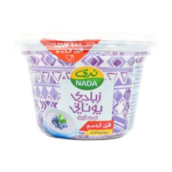 زبادي ندى يوناني - توت ازرق - قليل الدسم - 160 مل