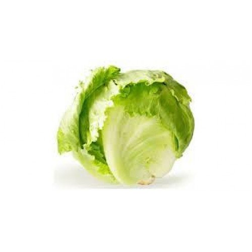 خس طازج مدور