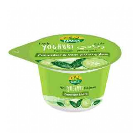 زبادي ندى كامل الدسم خيار ونعناع