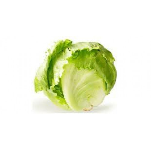 خس مدور حبه