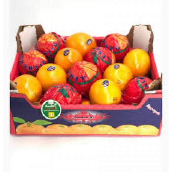 كرتون برتقال مصري