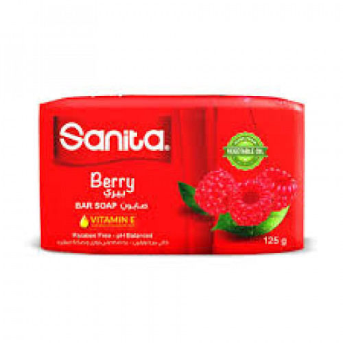 قالب صابون سانيتا بيري 125 جم