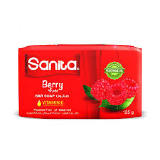 قالب صابون سانيتا بيري 125 جم