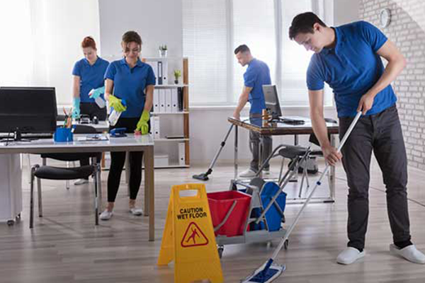 عناية المنزل