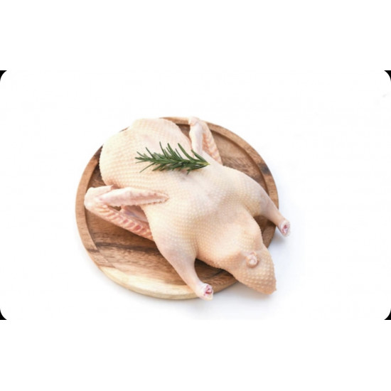 توصيل بط بكيني