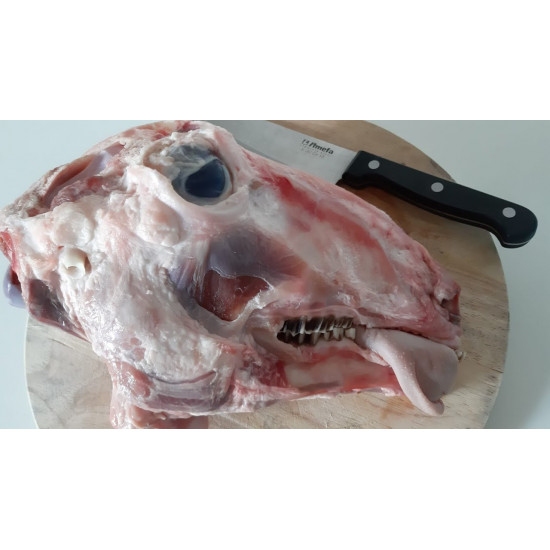 رأس غنم طازه 