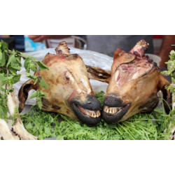 رأس غنم طازه 