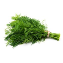 شبت ربطة 