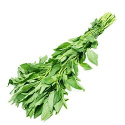 ملوخية ربطة