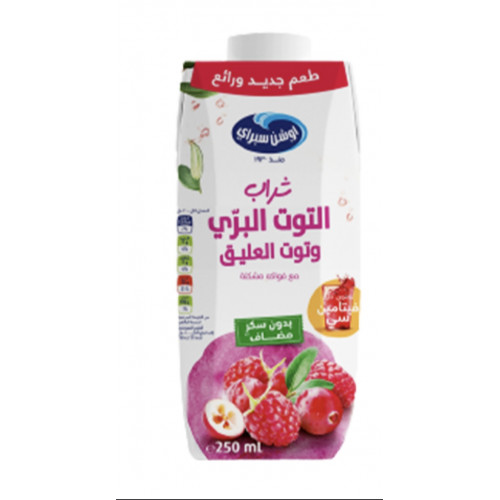 عصير اوشن سبراي توت العليق 250 مل 