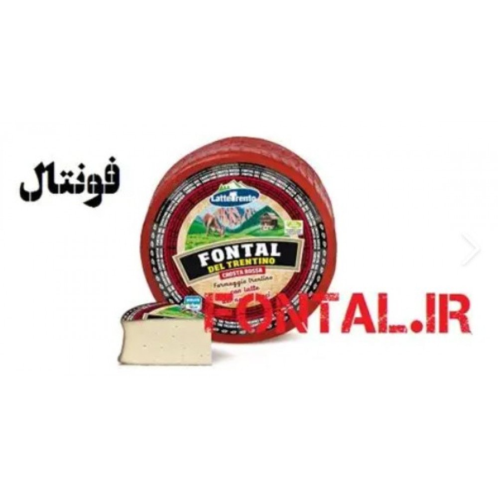 جبنة فونتال
