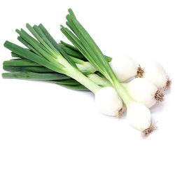 بصل أخضر ربطة كبير