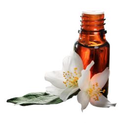 Bouvardia Flower Fragrance Oil - Spain - 30 ml