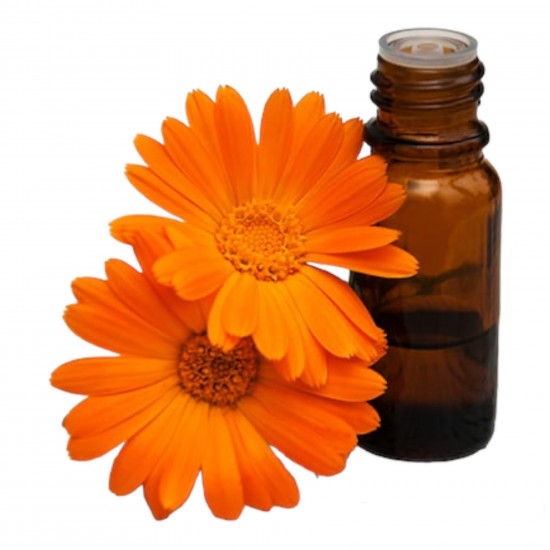 زيت زهرة الاقحوان 