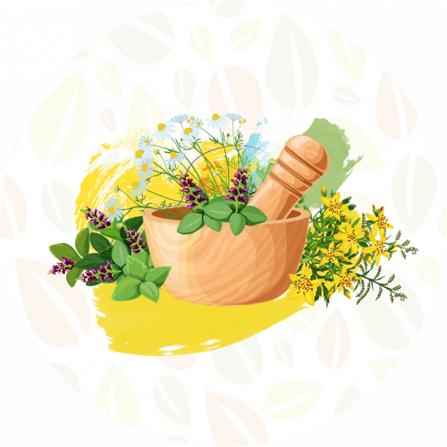 الاعشاب الطبيعية