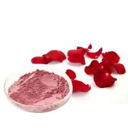 Pure Indian Rose Powder - 100g 